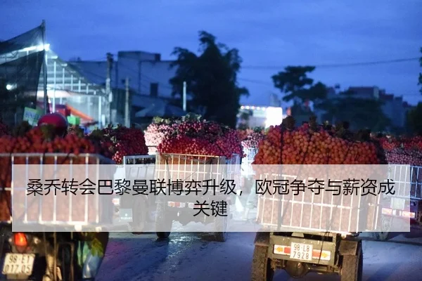 桑乔转会巴黎曼联博弈升级，欧冠争夺与薪资成关键