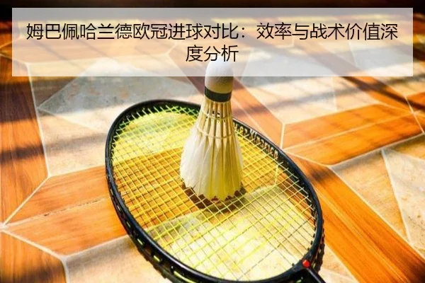 mu-ba-pei-ha-lan-de-ou-guan-jin-qiu-dui-bi-xiao-lv-yu-zhan-shu-jia-zhi-shen-du-fen-xi-2-156.jpg
