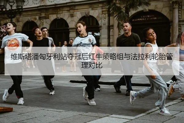 wei-si-ta-pan-xiong-ya-li-zhan-duo-guan-hou-hong-niu-ce-lve-zu-yu-fa-la-li-lun-tai-guan-li-dui-bi-3-339.jpg