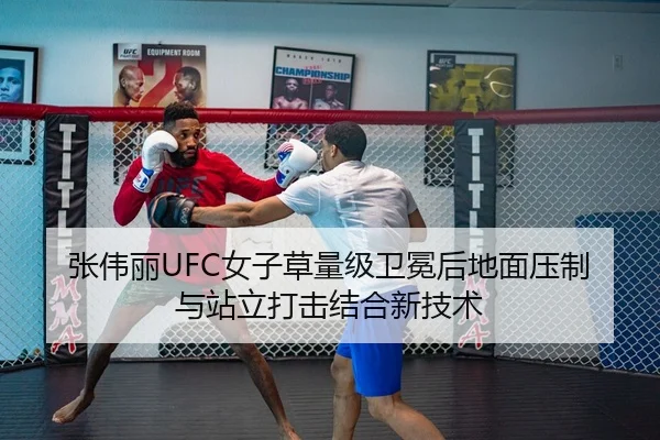 张伟丽UFC女子草量级卫冕后地面压制与站立打击结合新技术