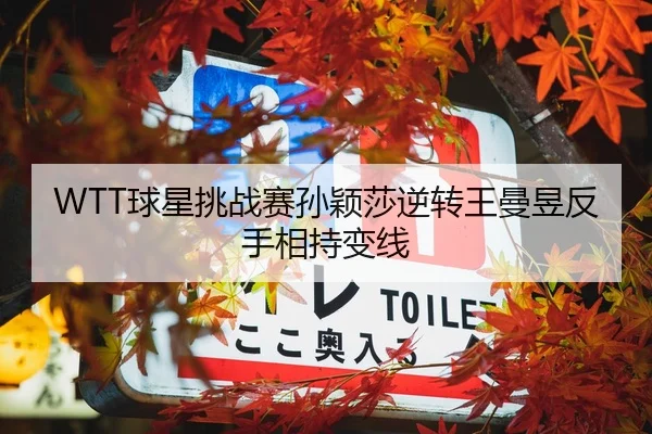 WTT球星挑战赛孙颖莎逆转王曼昱反手相持变线 | hth